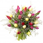 Kompozycja z 30 różowo- kremowych tulipanów z przybraniem - 30 kolorowych tulipanów