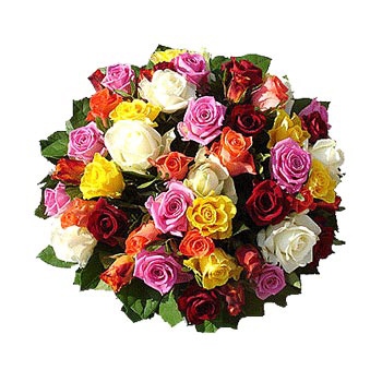Zamów bukiet różnokolorowych róż z dostawą do Monako - Różnokolorowe róże