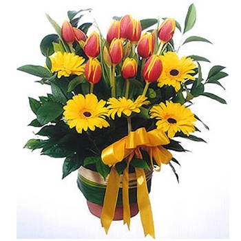 Zamów kompozycję kwiatową z gerber i tulipanów z dostawą na Filipiny - Żółte kwiaty