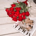 Podaruj ukochanej kobiecie czerwone tulipany - Kobiece tulipany