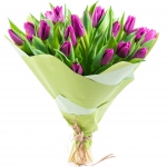 Bukiet fioletowych tulipanów