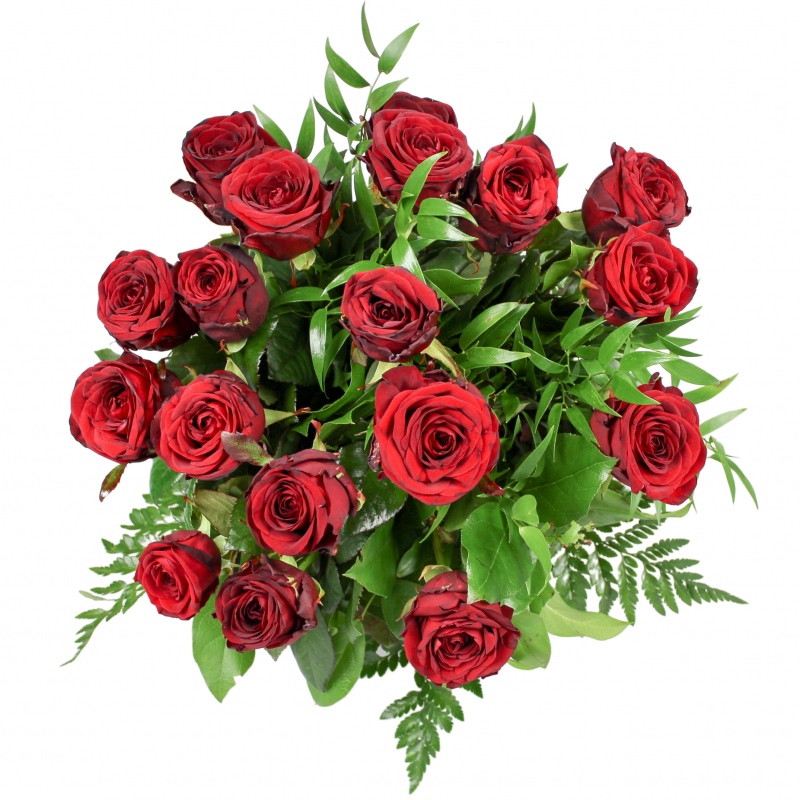 Bukiet skomponowany z 18 róż w kolorze czerwonym - Kwiaty Cichy Wielbiciel