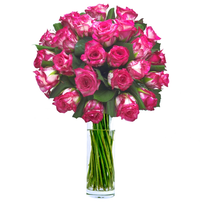 Kompozycja stworzona z 24 róż w kolorze różowym - 24 różowe róże
