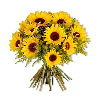 Wyślij bukiet słoneczników na Kubę - {product_name}