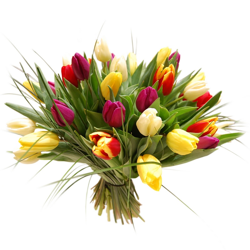 Kompozycja stworzona z kolorowych tulipanów i delikatnego przybrania - Kolorowe tulipany