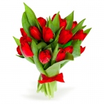 Kobiece tulipany