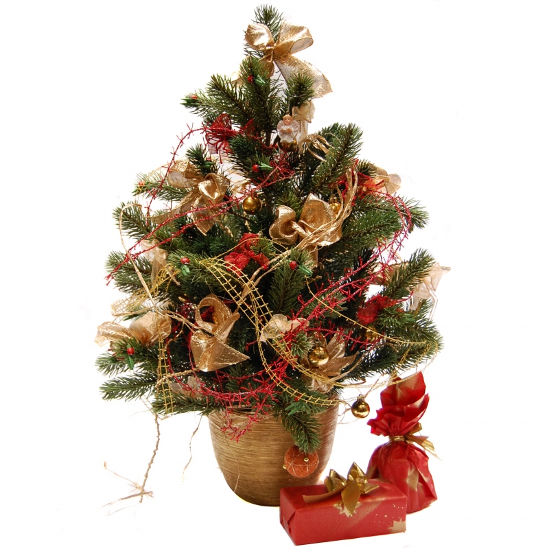 Choineczka z okazałymi złotymi dodatkami - Choinka Bożonarodzeniowa