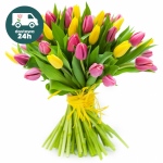 Tulipany różowo-żółte od 25 do 75 sztuk