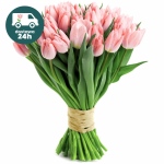 Różowe tulipany od 25 do 75 sztuk