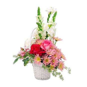 Zamów kompozycję kwiatową z róż i margerytek z dostawą do Kanady - Uroczy koszyk
