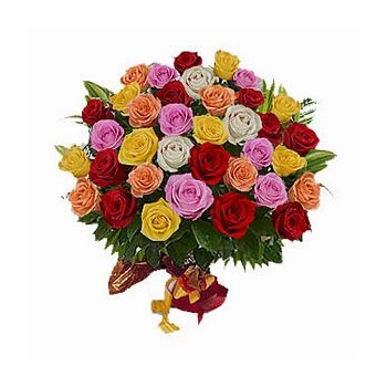 Wyślij okazały bukiet kolorowych róż do Egiptu - Trzy tuziny kolorowych róż