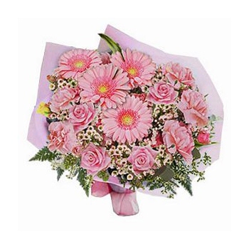 Zamów różową kompozycję kwiatową z róż i gerber na Fidżi - Różowa pasja