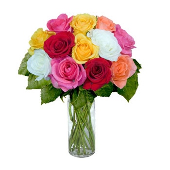 Zamów 12 kolorowych róż z dostawą do wybranej miejscowości w Egipcie - Tuzin różnokolorowych róż