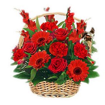 Wyślij kompozycję czerwonych kwiatów gerber i róż w koszu do Tonga - Czerwona namiętność