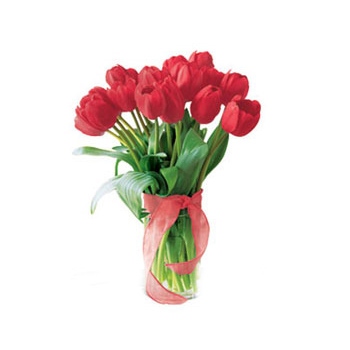 Wyślij bukiet czerwonych tulipanów do wybranej miejscowości  na Filipinach - Czerwone tulipany