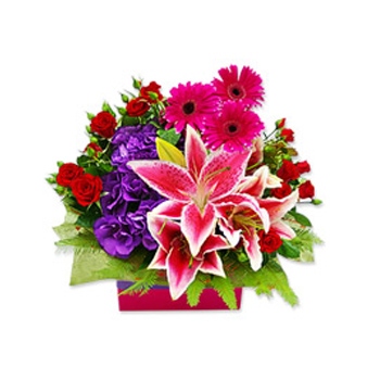 Wyślij kolorową kompozycję kwiatową z lilii, gerber i róż do Nowej Zelandii - Różowe uczucia