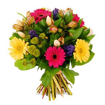 Do wybranej przez Ciebie miejscowości we Włoszech dostarczymy kolorowy bukiet z gerber,  alstromerii i tulipanów - Bukiet z kwiatów mieszanych