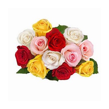 Wyślij bliskiej osobie na Filipinach bukiet kolorowych róż - Kolorowe róże