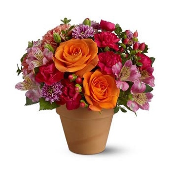 Zamów kompozycję kwiatową z alstromerii, róż i goździków z dostawą do Grecji - Bądź szczęśliwy