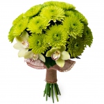 Bukiet zielone chryzantemy