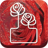 Kwiatobox - kreator bukietu z róż