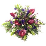 Bukiet złożony z goździków, anturium oraz eustom - Bukiet Dla Szefa