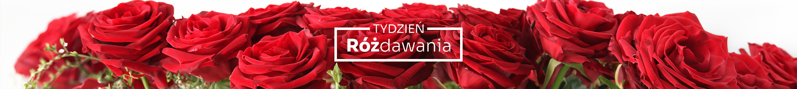 Tydzień różdawania