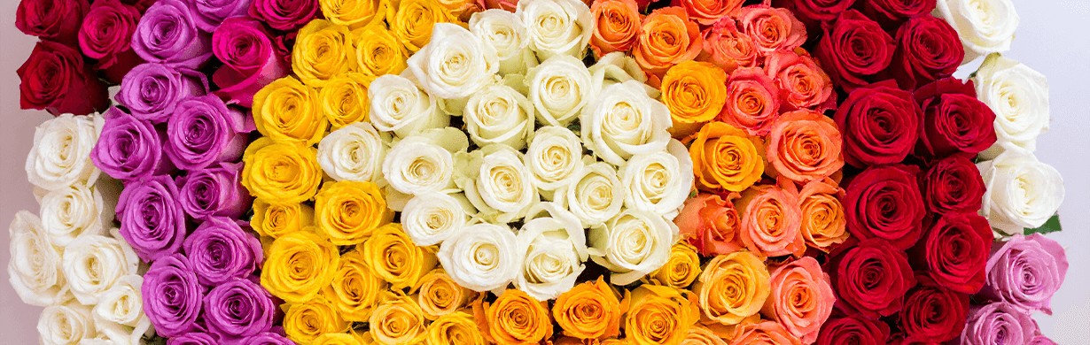 Symbolika koloru róż